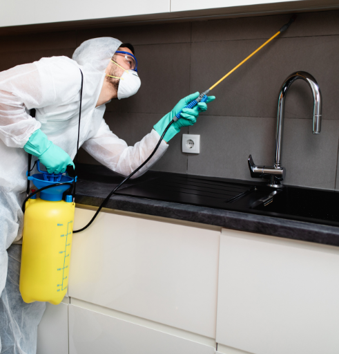Micropulverização